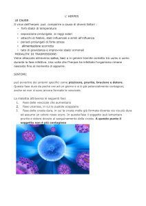 L` HERPES LE CAUSE: Il virus dell`herpes può comparire a causa di