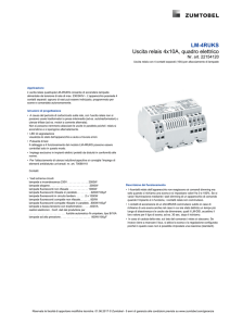 Visualizza come PDF