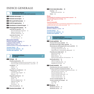 indice generale