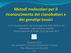METODI GENETICI NELLA IDENTIFICAZIONE DI CIANOBATTERI