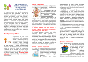 Brochure CPE [file]