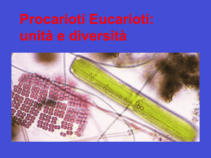 Procarioti VS Eucarioti