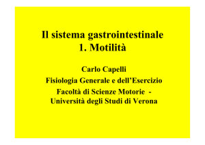 Sistema nervoso enterico