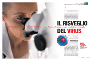 Se il responsabile della varicella si riattiva, ecco l`herpes. Vediamo