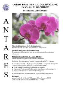Corso orchidee 2016