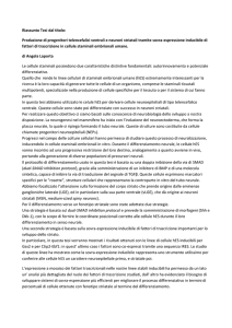 Riassunto Tesi dal titolo: Produzione di progenitori