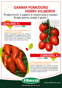 GAMMA POMODORO HOBBY VILMORIN