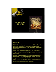 metabolismo dei lipidi - Digilander