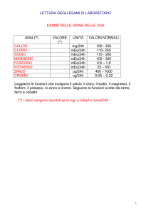 LETTURA DEGLI ESAMI DI LABORATORIO ESAME DELLE URINE