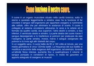 Visualizzi la pagina intera