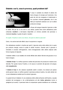 Diabete: cos`è, cosa lo provoca, quali problemi dà?
