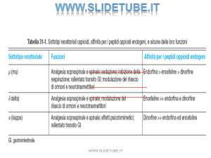 Diapositiva 1 - slidetube.org