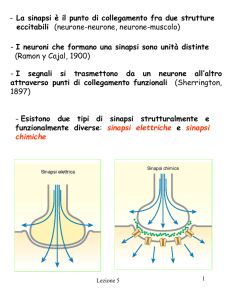 Nessun titolo diapositiva
