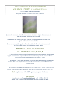 LUCE COLORE E TENEBRA DI LIANE COLLOT D`HERBOIS 10