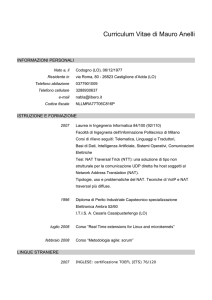 Curriculum Vitae di Mauro Anelli