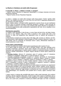 La Sharka - Regione Toscana