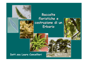 Raccolte floristiche e costruzione di un Erbario
