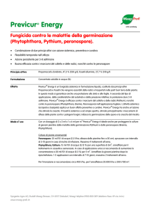 Previcur® Energy