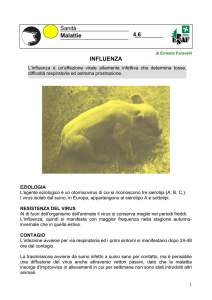 scarica il documento - formato pdf - 168 Kb