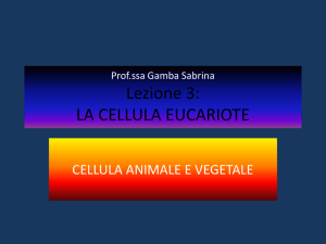 Lezione 1: LA TERRA NELLO SPAZIO - "Giovanni Penna"