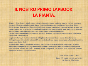 Lapbook sulla pianta