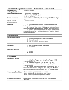 Descrizione delle posizione lavorative e delle mansioni e profili