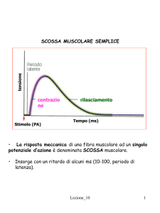 Presentazione di PowerPoint