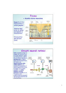 Cellule semplici