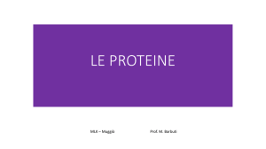 LE PROTEINE
