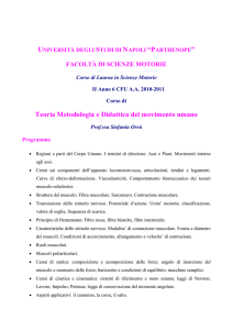 Teoria Metodologia e Didattica del movimento umano