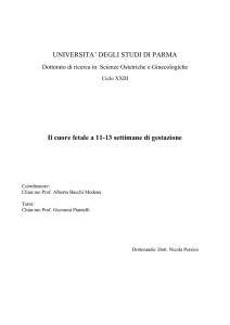 Visualizza/apri