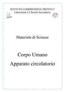 Apparato circolatorio