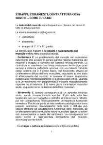 strappi, stiramenti, contrattura cosa sono e come curarli