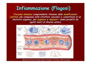 Infiammazione