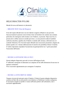 Helycobacter Pylori