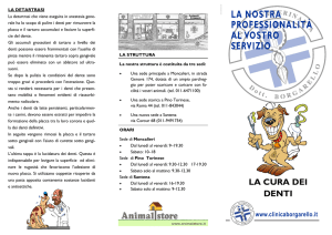 La cura dei denti - Clinica Veterinaria Borgarello
