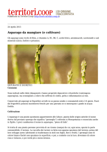 Stampa in PDF - Territori.Coop