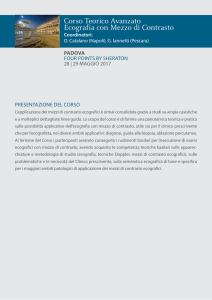Programma preliminare