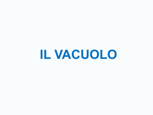 il vacuolo - e
