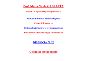 Scissione pirofosforica dell`ATP