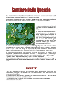 curiosita - Comune di Pavia
