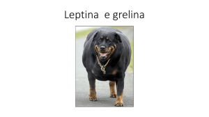 leptina grelina File - Progetto e