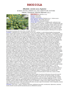 rhodiola - Il Punto Sano