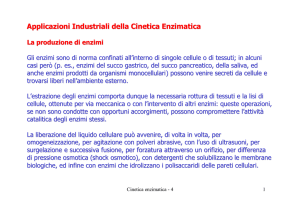 Applicazioni Industriali della Cinetica Enzimatica La produzione di