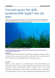 Vai al PDF originale