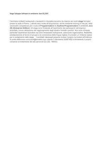 Stage Sviluppo Software in ambiente Java EE/J2EE