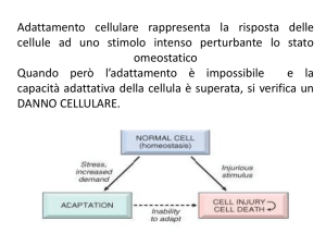 Atrofia