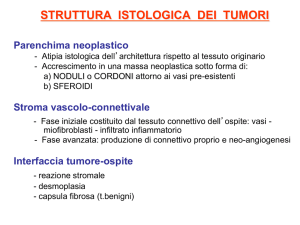 STRUTTURA ISTOLOGICA DEI TUMORI