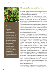 Il bosco ceduo submediterraneo