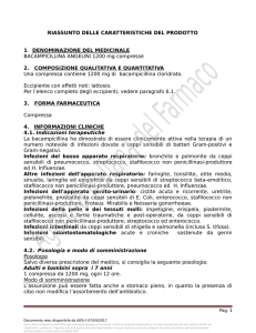RIASSUNTO DELLE CARATTERISTICHE DEL PRODOTTO 1
